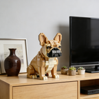 🐶 Ensemble de construction haut de gamme Bouledogue Français – Édition d'exposition pour collectionneurs